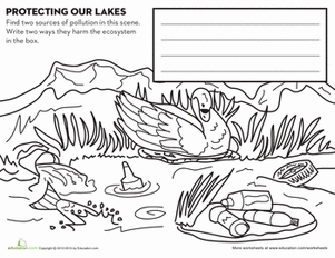 Protect Lakes