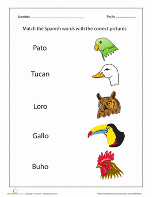 Birds in Spanish