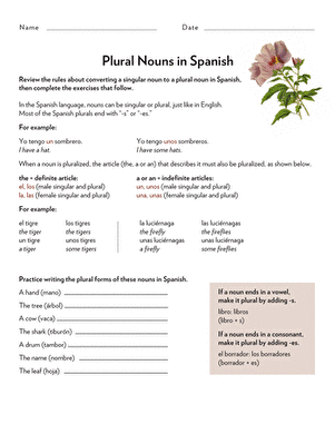 Spanish Plural