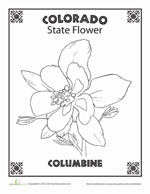 Colorado State Flower