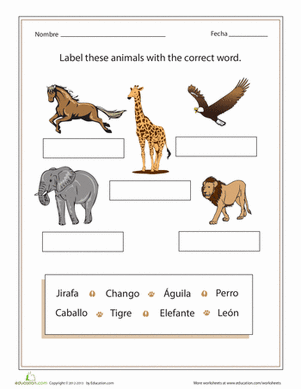 Spanish Animal Match-up