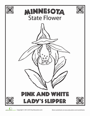 Minnesota State Flower
