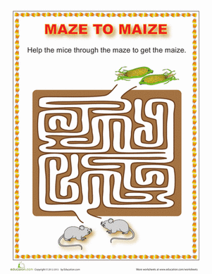 Maize Maze