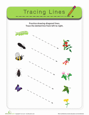 Diagonal Lines: Bugs