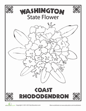 Washington State Flower
