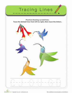 Curved Lines Hummingbirds