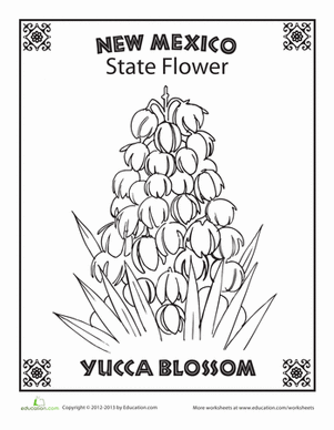 New Mexico State Flower