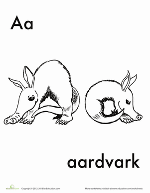 A for Aardvark