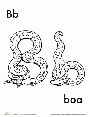 B for Boa