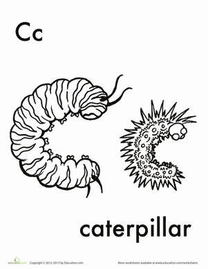 C for Caterpillar