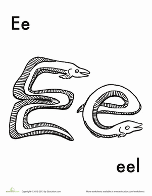 E for Eel
