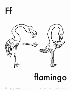 F for Flamingo