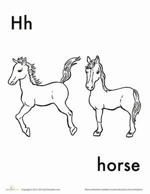 H for Horse