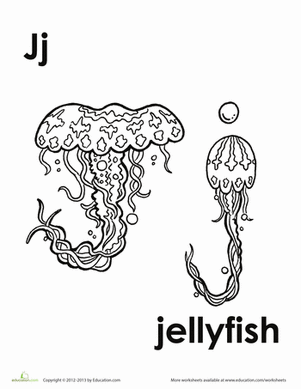 J for Jellyfish