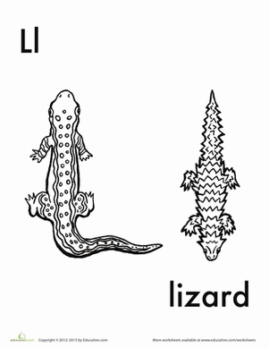L for Lizard