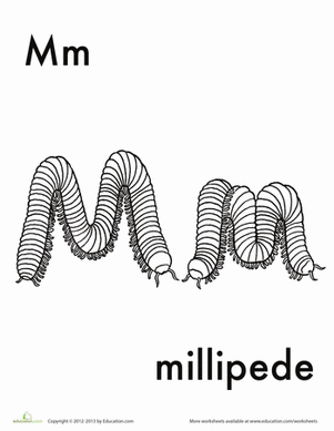 M for Millipede