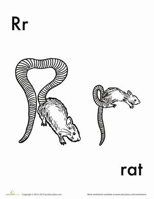 R for Rat
