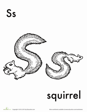 S for Squirrel