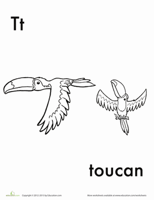 T for Toucan