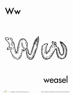 W for Weasel
