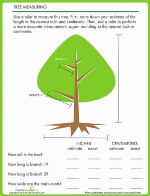 Tree Measuring