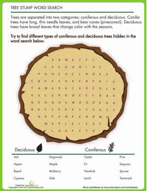 Tree Word Search