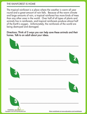 Protecting the Rainforest