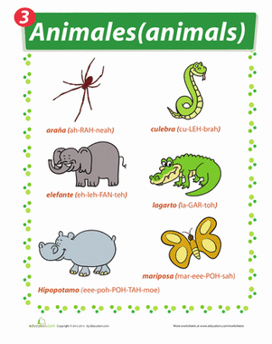 Zoo Animals in Spanish