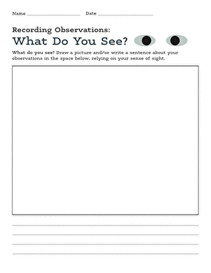 Recording Observations: What Do You See?