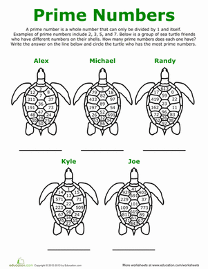 Prime Number Turtles