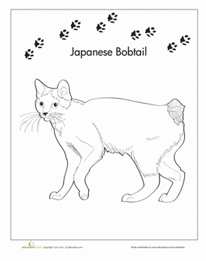 Japanese Bobtail Coloring Page