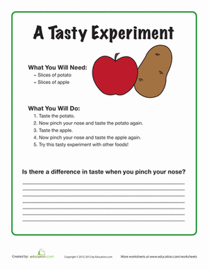 Taste Experiment