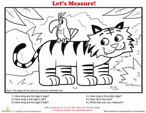 How to Measure: Tiger