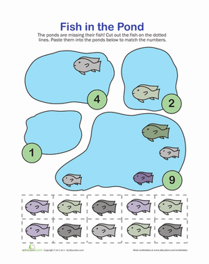 Counting Fish