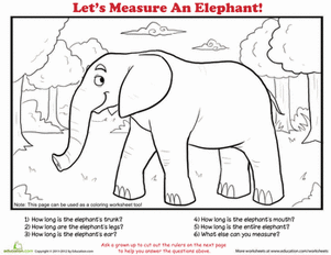 How to Measure: Elephant