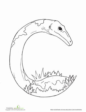 Dino C