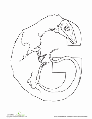Dino G