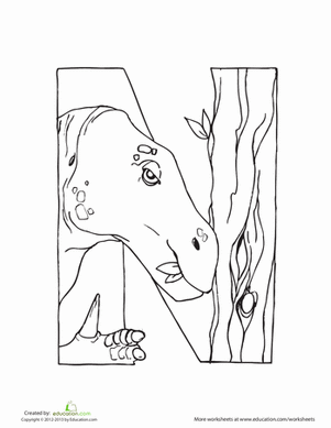Dino N