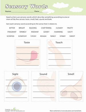 Sensory Words