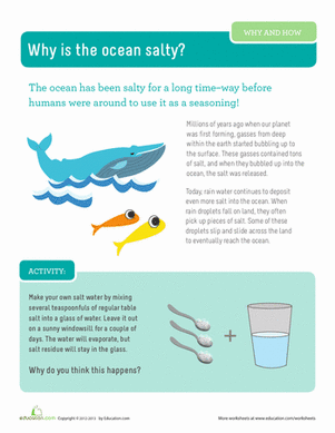 Why is the Ocean Salty?