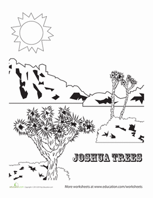 Joshua Tree