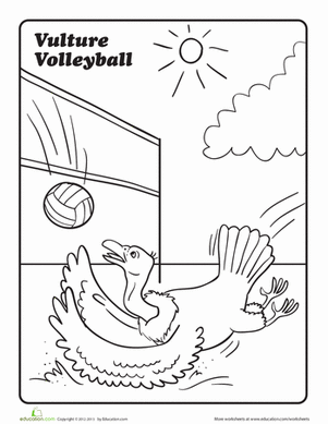 Vulture Volleyball