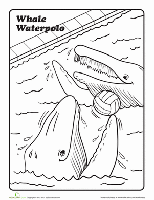 Whale Water Polo