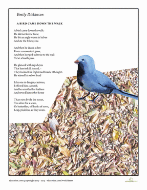 A Bird Came Down the Walk