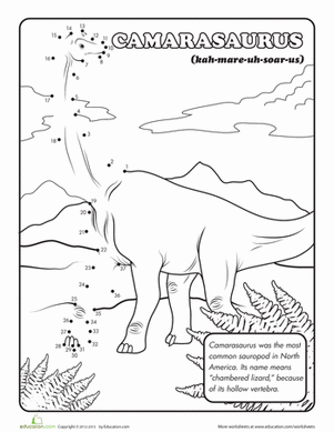 Camarasaurus