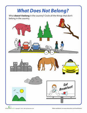 Country or City?