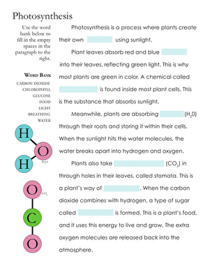 Photosynthesis Fill-in-the-Blank