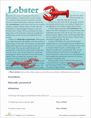 Lobster Facts