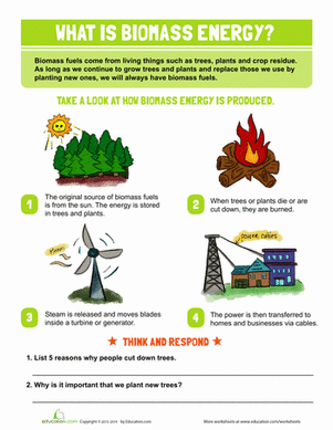What is Biomass Energy