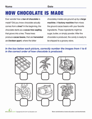 How Chocolate is Made